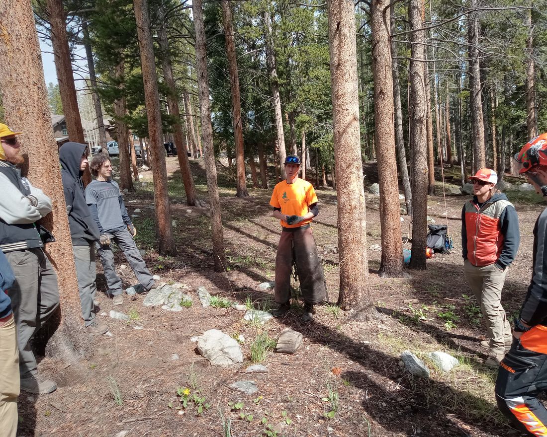 The Cricket Cuts Outdoor Solutions crew